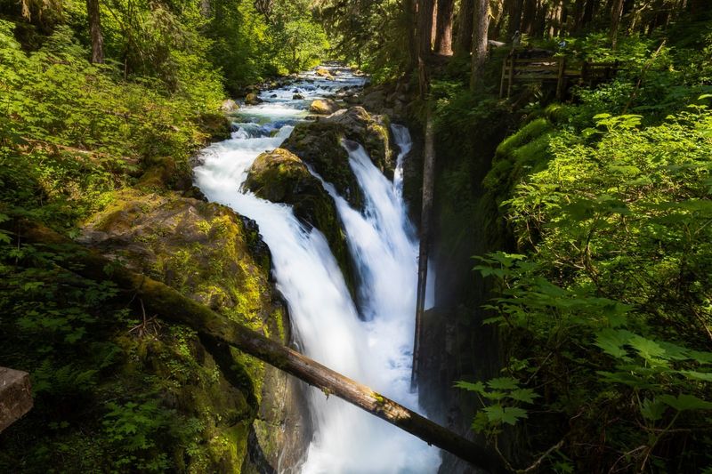 Olympic National Park, Washington