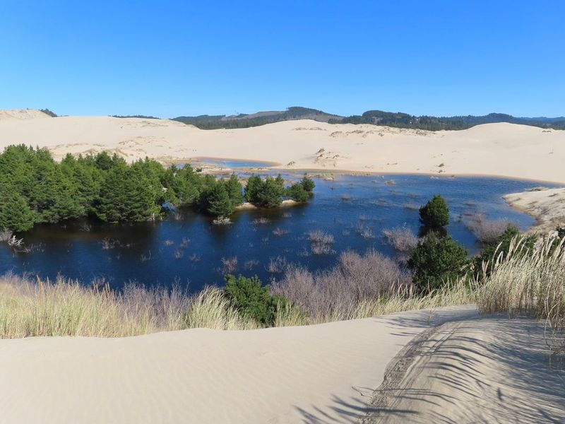 Oregon Dunes National Recreation Area, Oregon