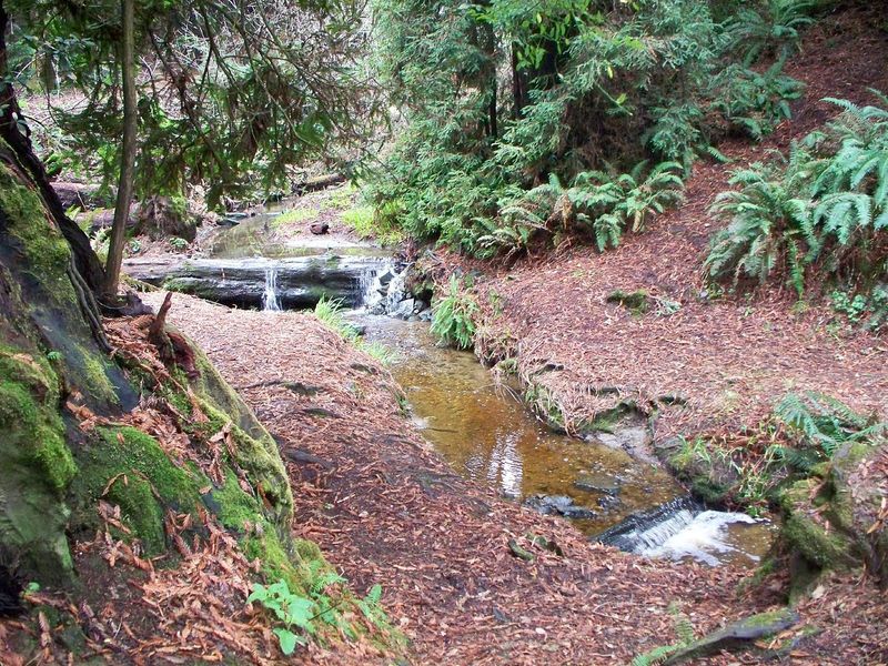 Otis Johnson Wilderness Park