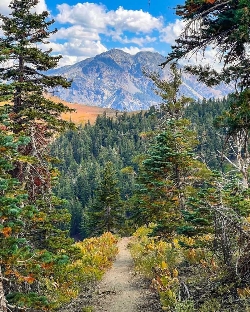 Pacific Crest Trail, USA