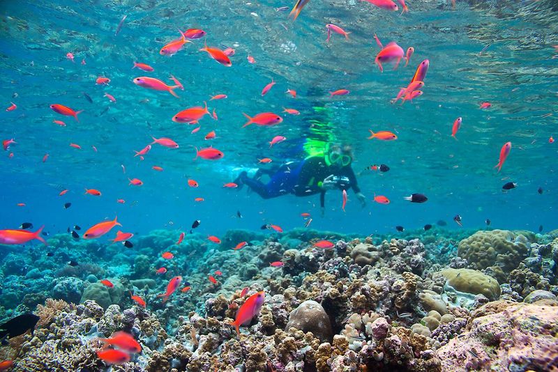 Palau, Micronesia