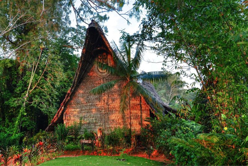 Papua New Guinea Rainforest Cabin