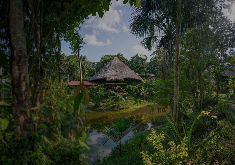 Peruvian Amazon Retreat