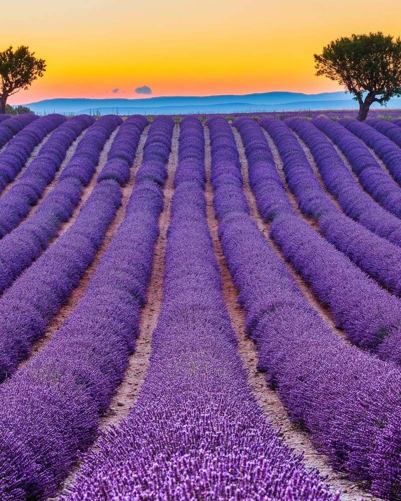 Provence, France