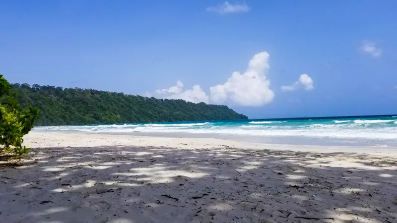 Radhanagar Beach, India