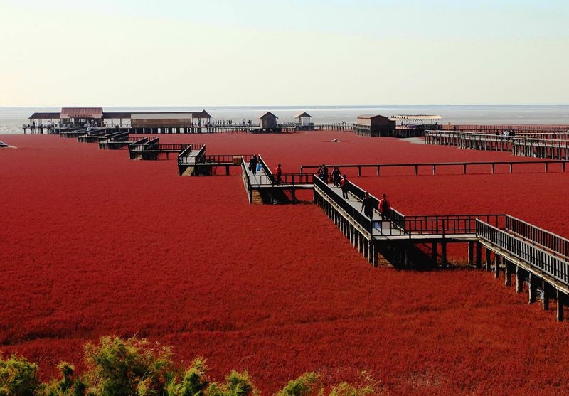 Red Beach, China