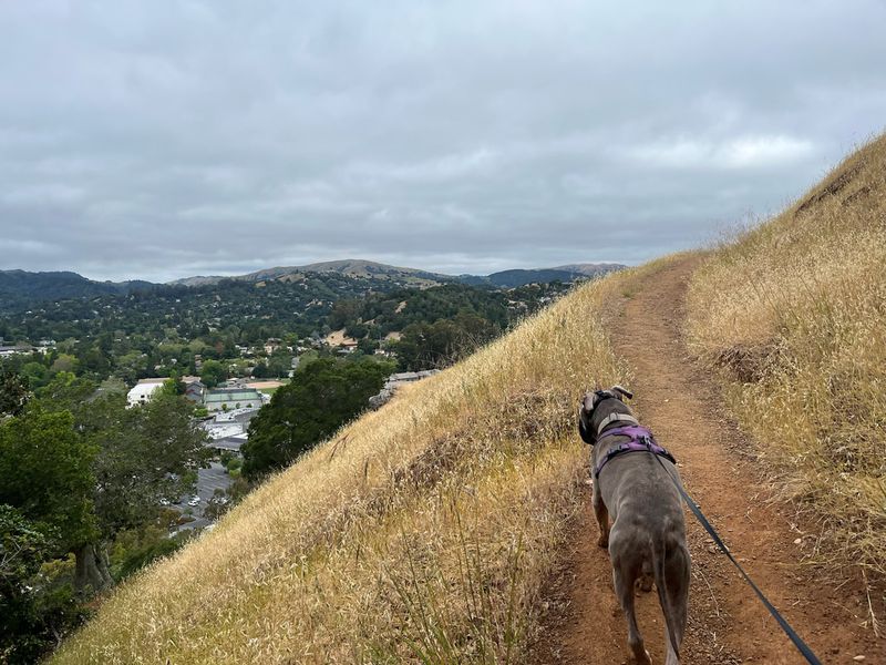 Red Hill Trail