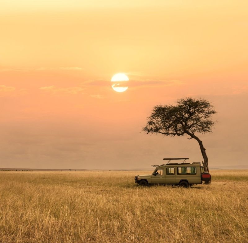 Safari in the Serengeti