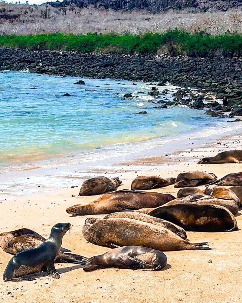 Sailing the Galápagos Islands