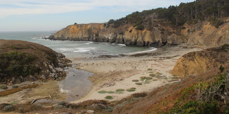 Salt Point Trail