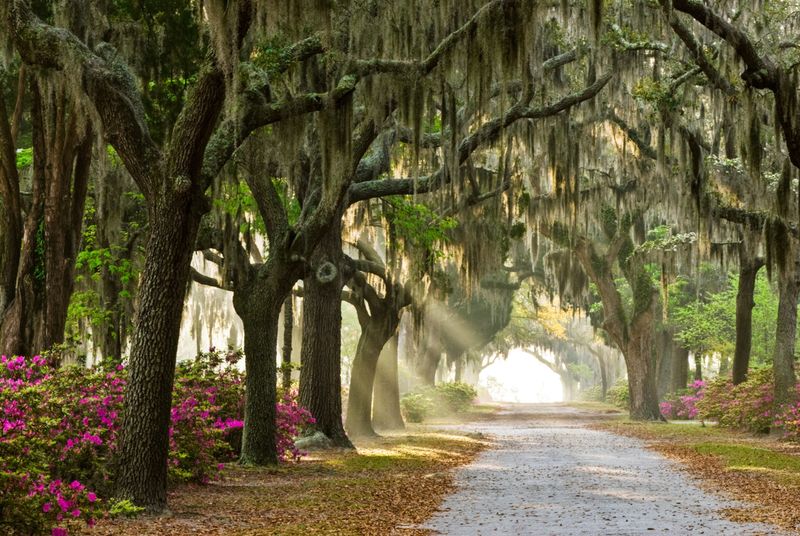 Savannah, Georgia