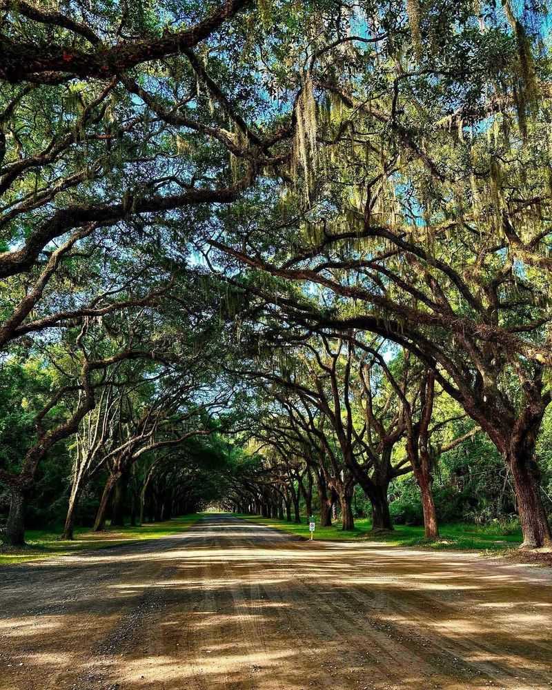 Savannah, Georgia