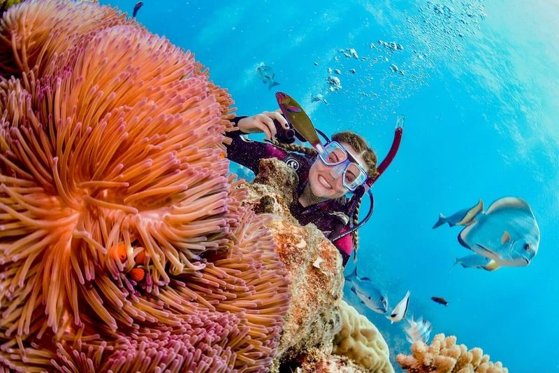 Scuba Diving in the Great Barrier Reef, Australia