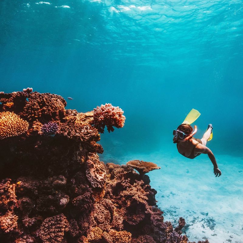 Scuba Diving in the Great Barrier Reef