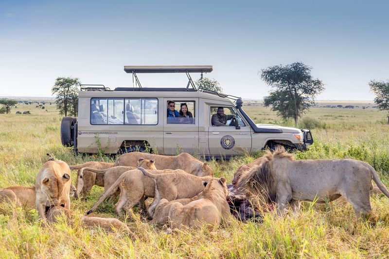 Serengeti National Park, Tanzania