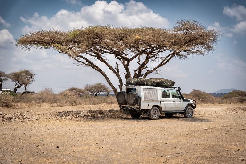 Serengeti National Park, Tanzania