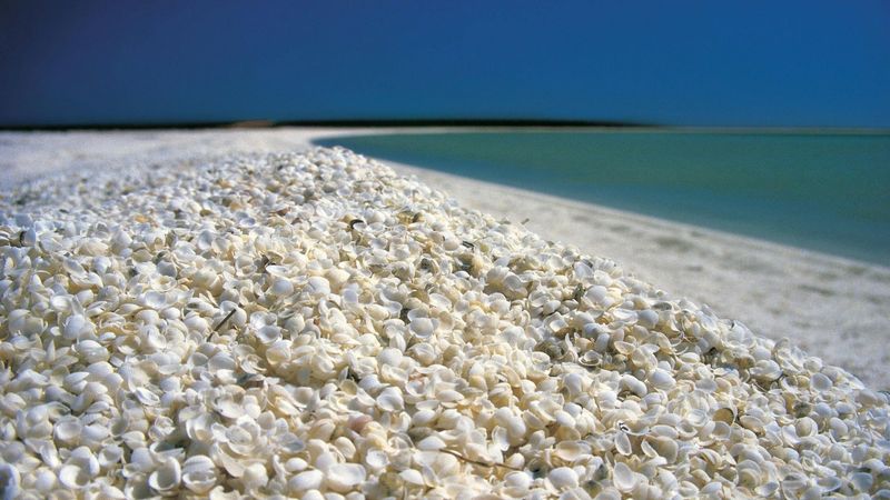 Shell Beach, Western Australia