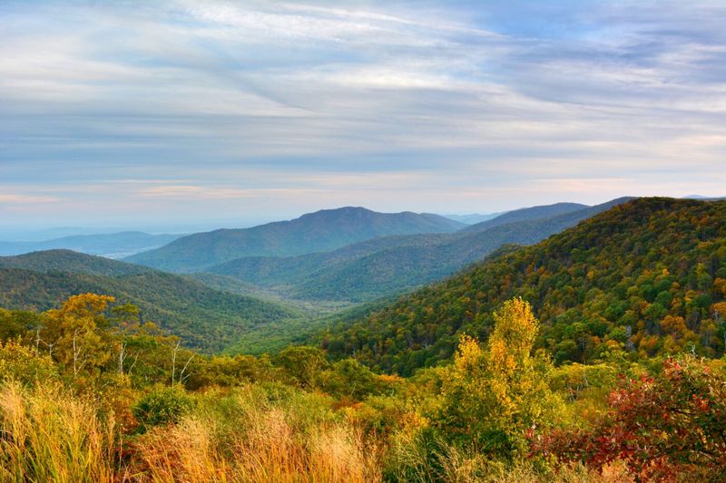 Shenandoah National Park