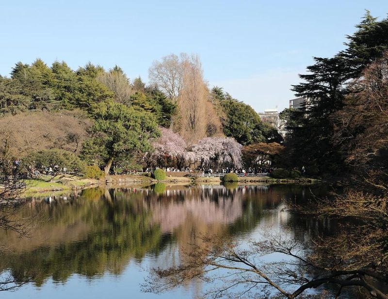 Shinjuku Gyoen National Garden