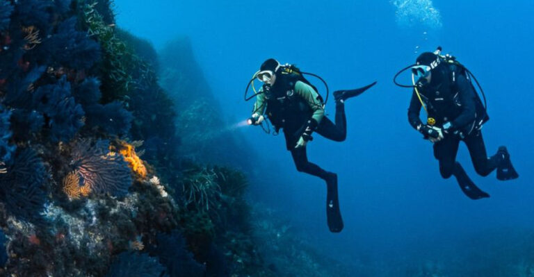 12 Unbelievable Shipwreck Dives You Can Explore Today