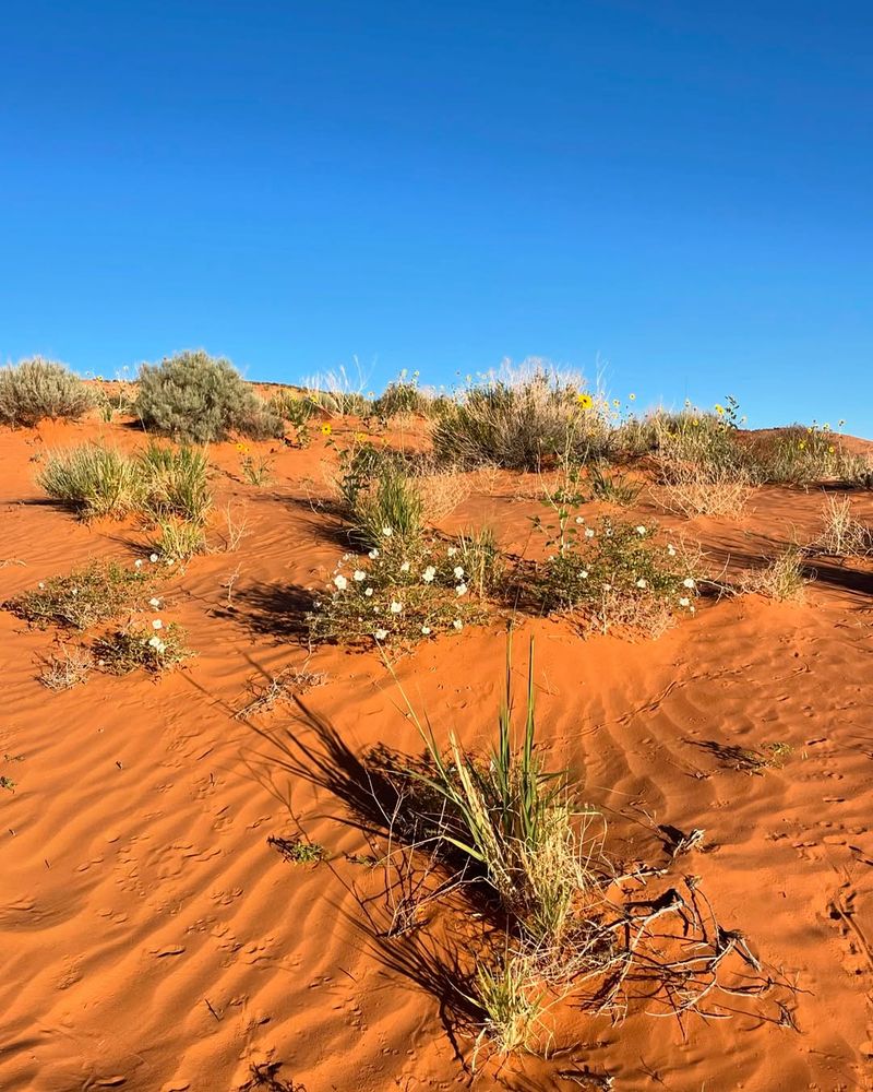 Simpson Desert, Australia