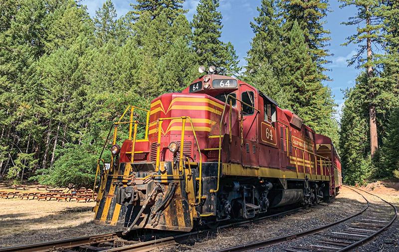 Skunk Train