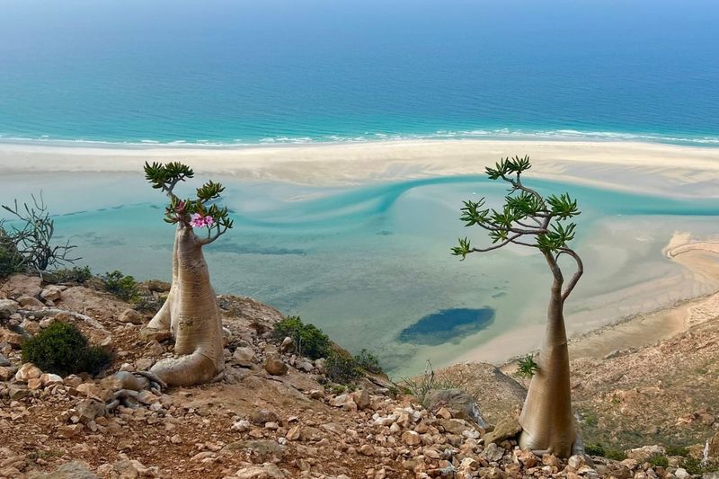 Socotra, Yemen