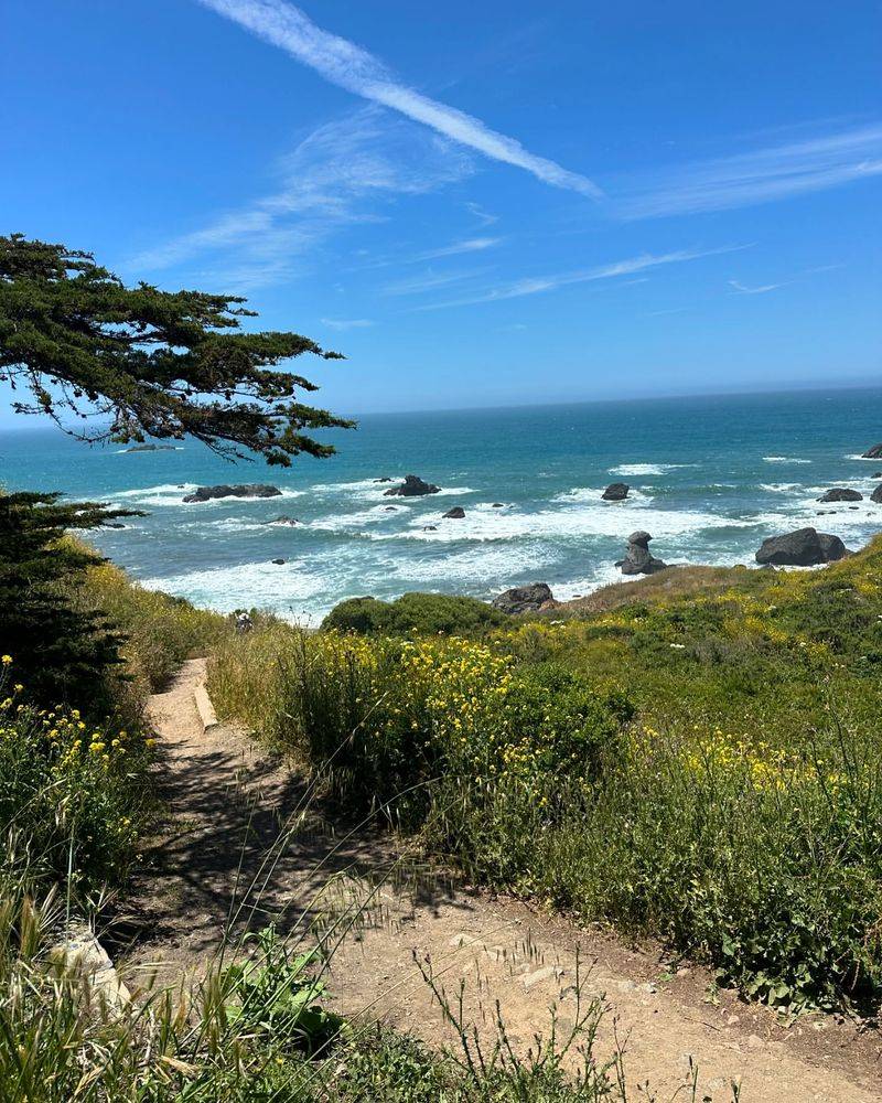 Sonoma Coast State Park Trails