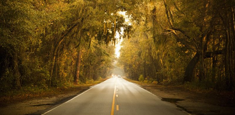 South Carolina - Ashley River Road