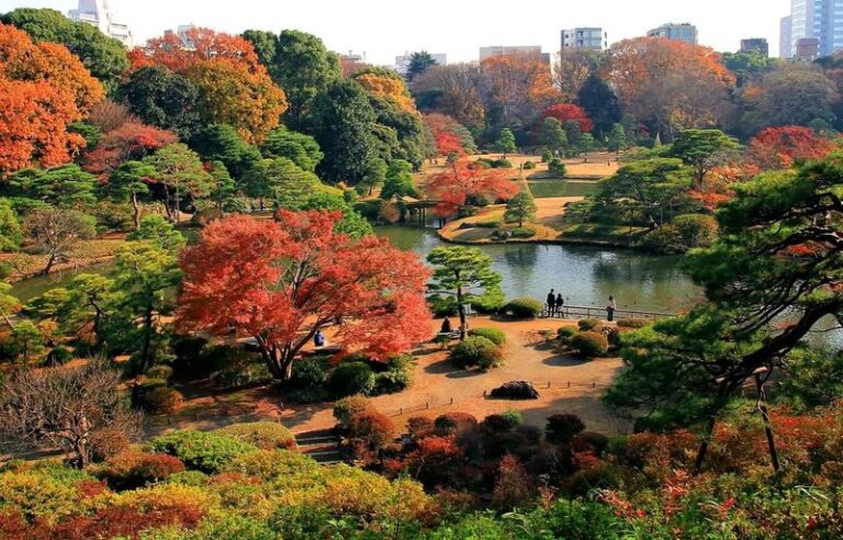 15 Unexpected Spots In Tokyo That Go Past Shibuya Crossing