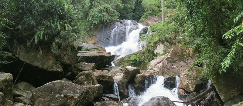 Sri Lanka Jungle Escape