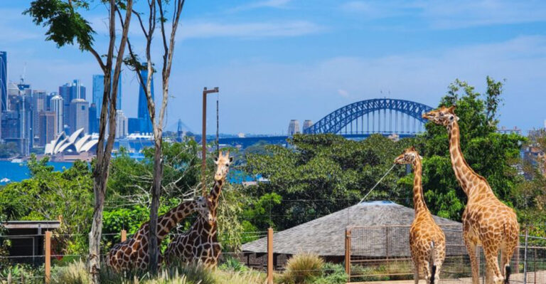 12 Stunning Places in Sydney That Offer More Than Just the Opera House