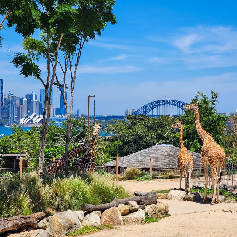 Taronga Zoo