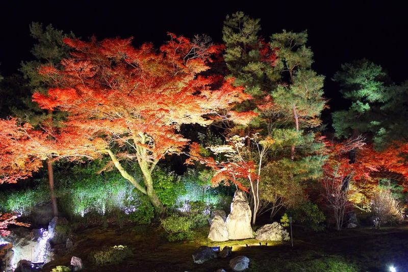 Tenryu-ji Temple Garden