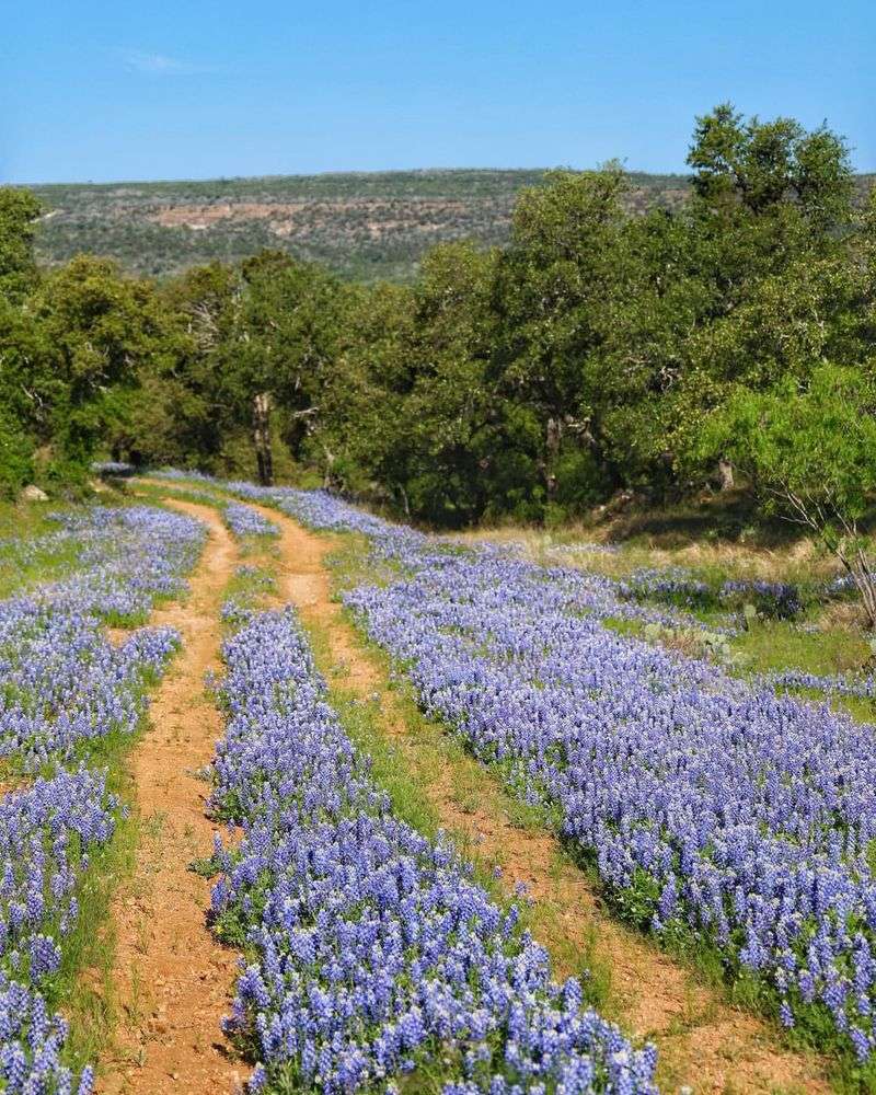 Texas - Willow City Loop