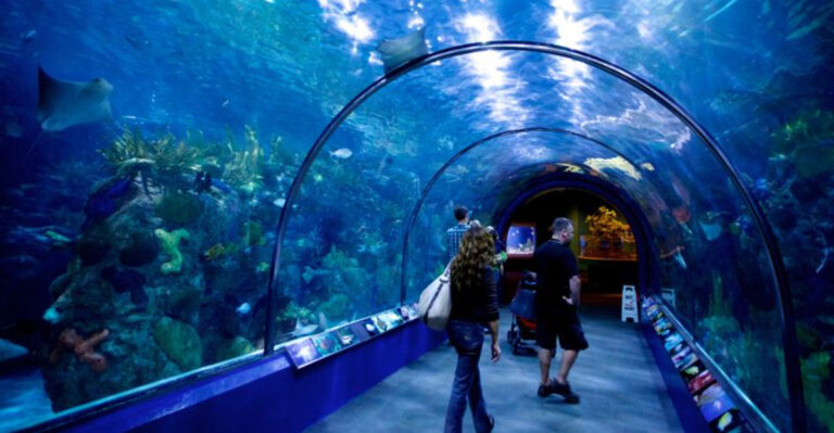 The 15 Best Aquariums In America, According To Reviews