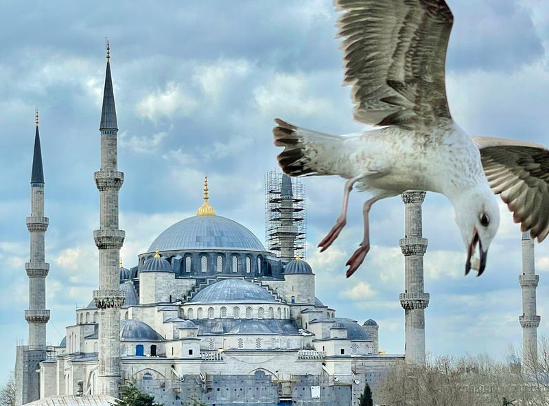 The Blue Mosque