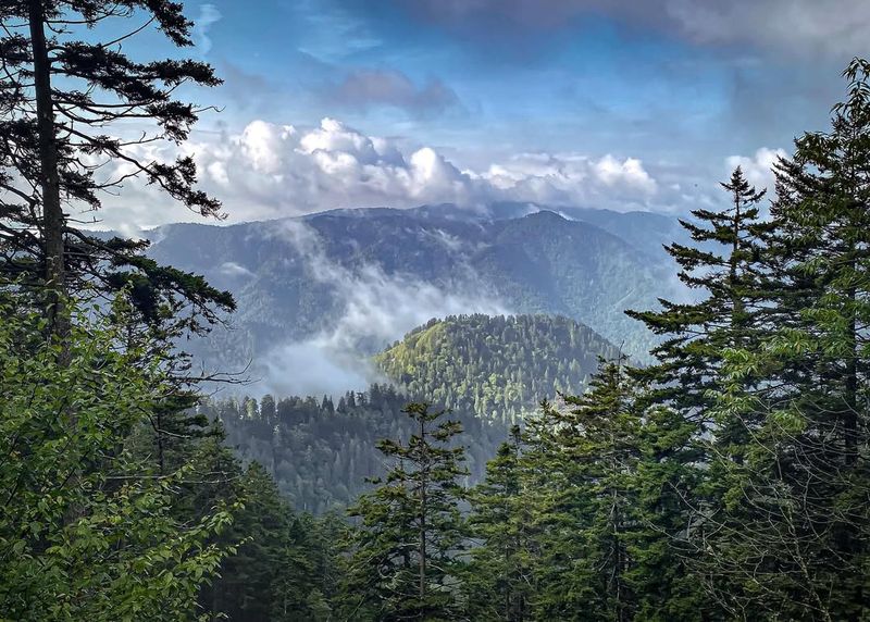 The Great Smoky Mountains, Tennessee/North Carolina