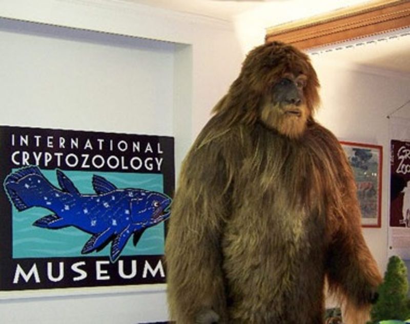 The International Cryptozoology Museum, Maine