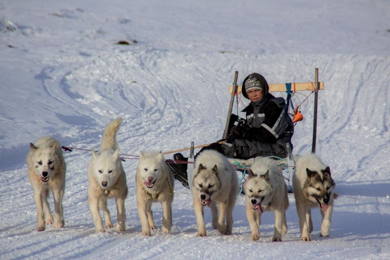 The Inuit of Greenland