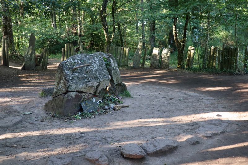 The Luminous Forest of Brocéliande