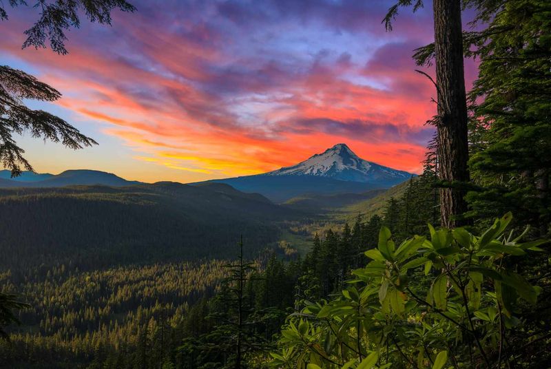 The Pacific Crest Trail, USA