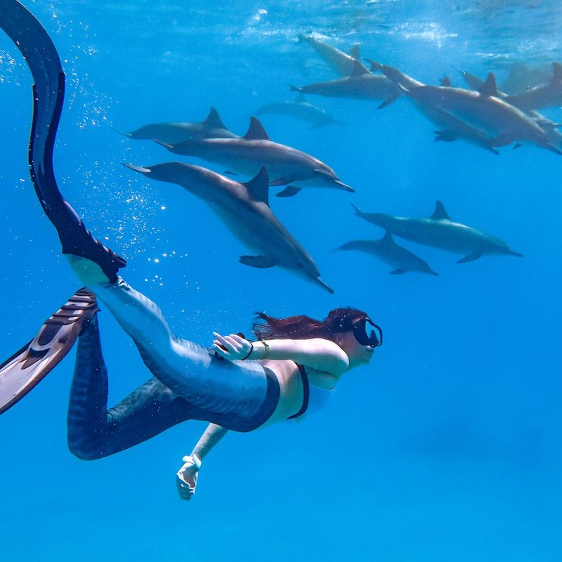 The Red Sea, Egypt