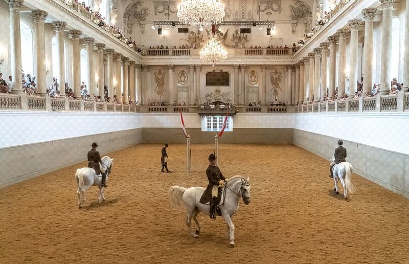 The Spanish Riding School