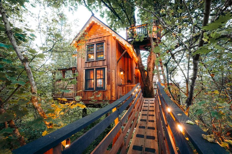 The Treehouse Haven, Oregon