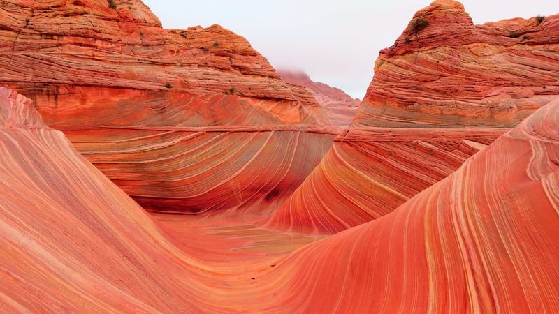 The Wave, Arizona