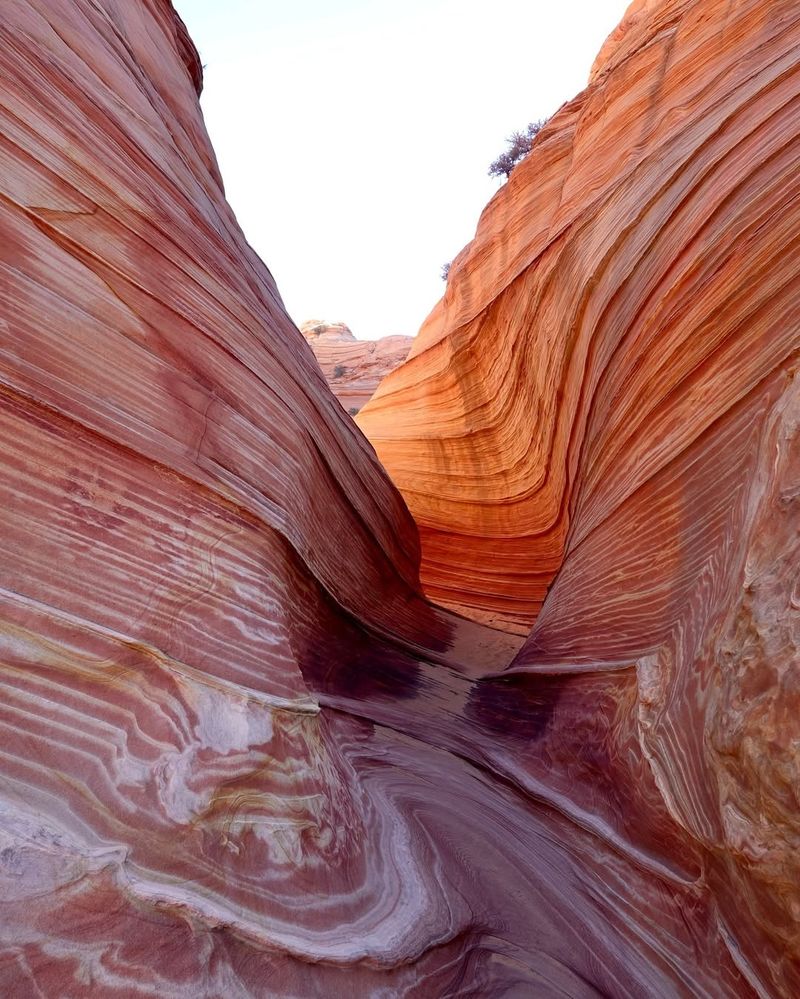 The Wave, Arizona