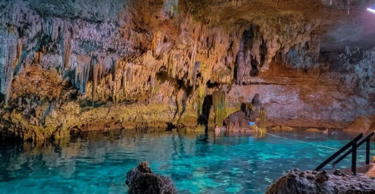 These 10 Mexico Cenotes Are Some Of The Best-Kept Secrets In Riviera Maya