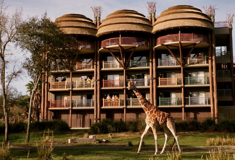 Disney's Animal Kingdom Lodge