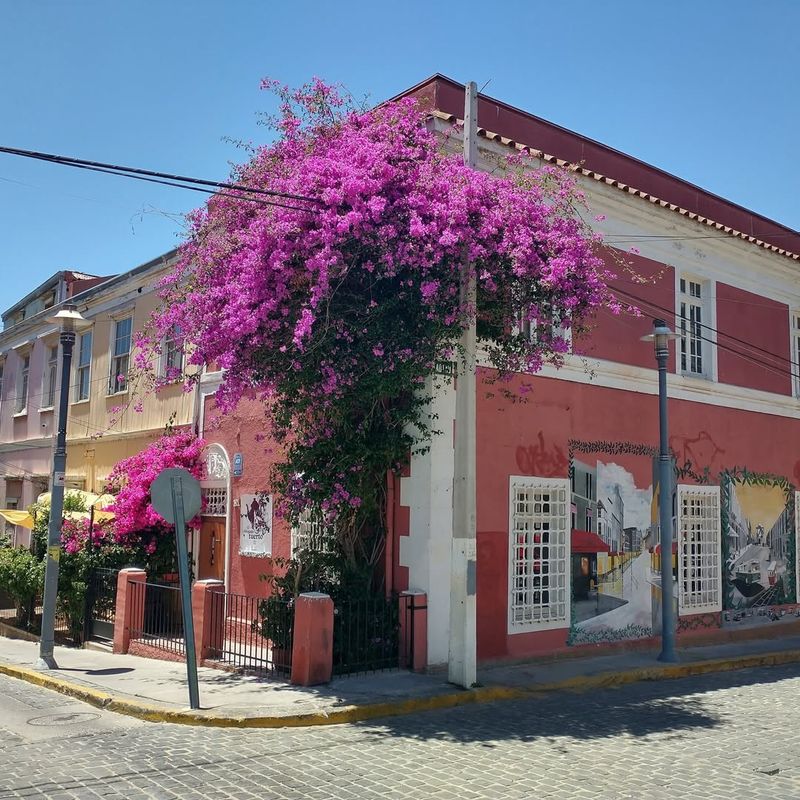 Valparaíso, Chile